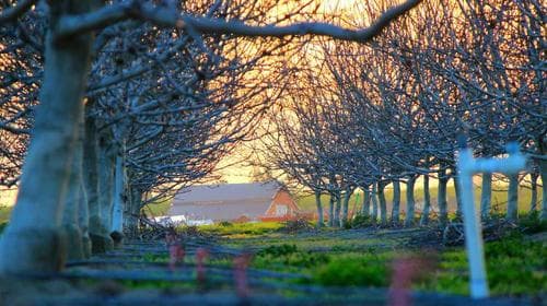 Montage- und Adapterplatten