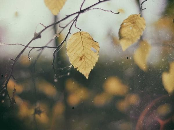 Präzisions-Typenschild